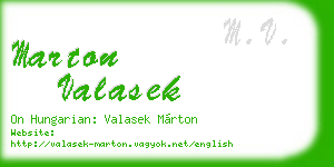 marton valasek business card